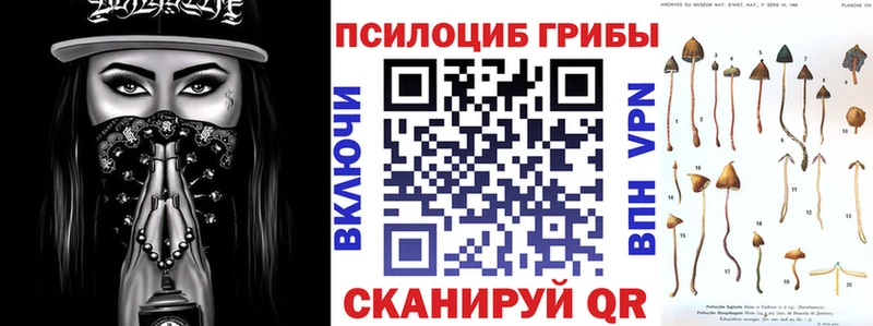 mega ссылки  Верещагино  Псилоцибиновые грибы мухоморы 